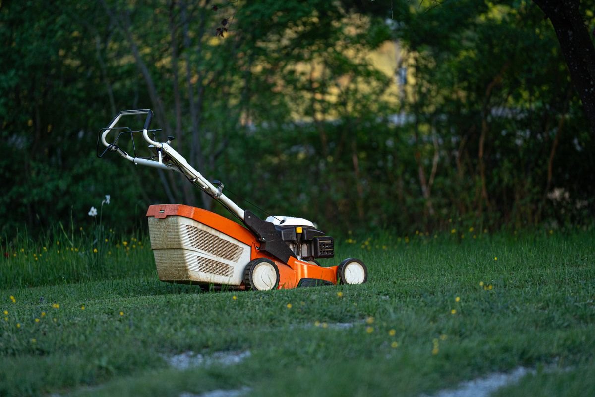 Lawn Care & Mowing