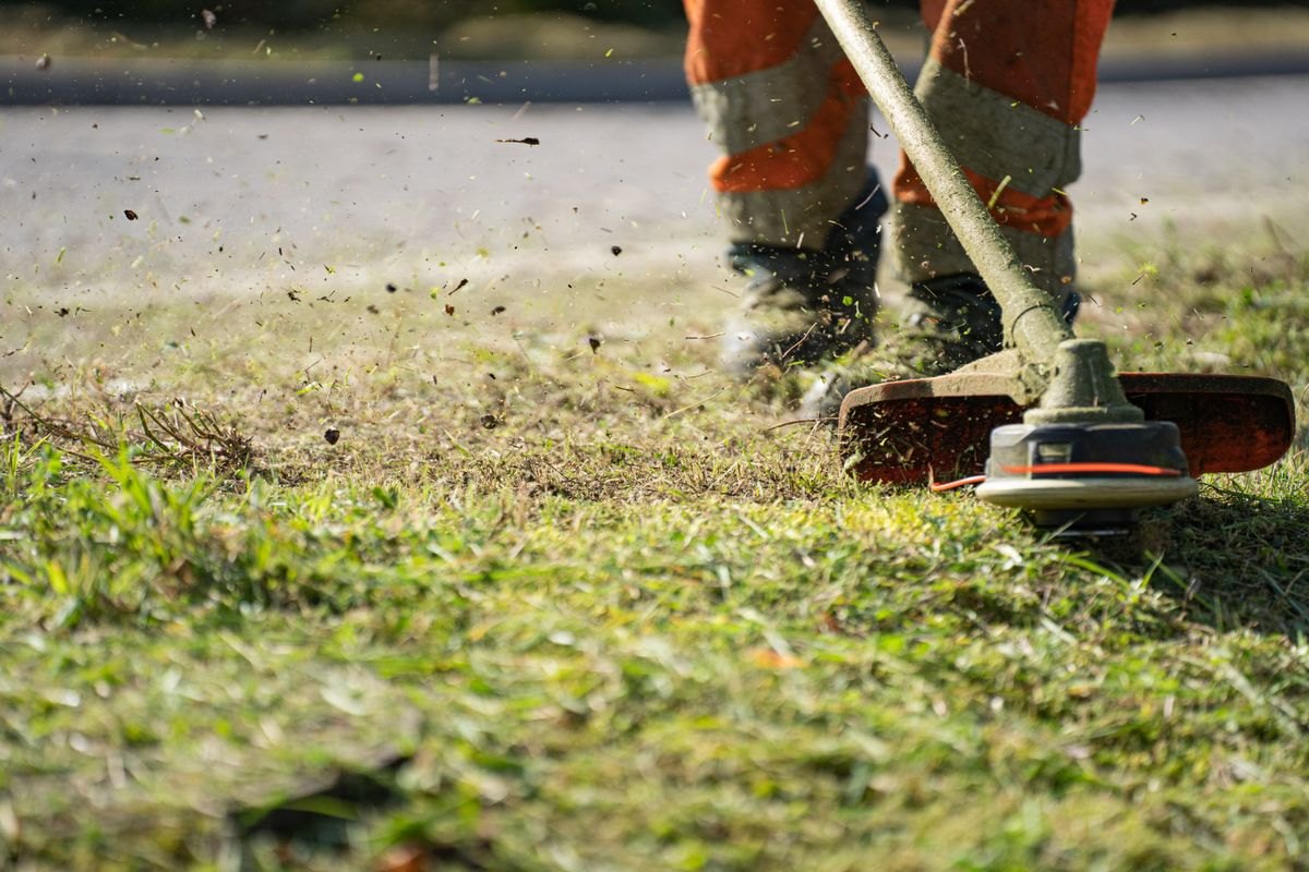 String trimmer edging a lawn