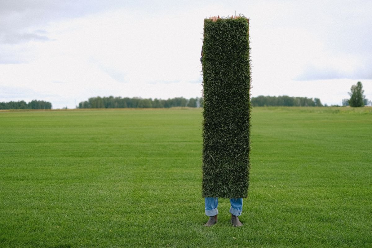 Sod, Seed & Repair